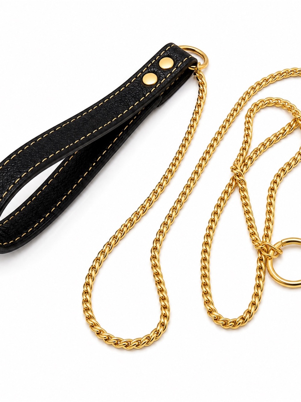 Gold Dog Show Slip Lead Leash & Collar 2-in-1